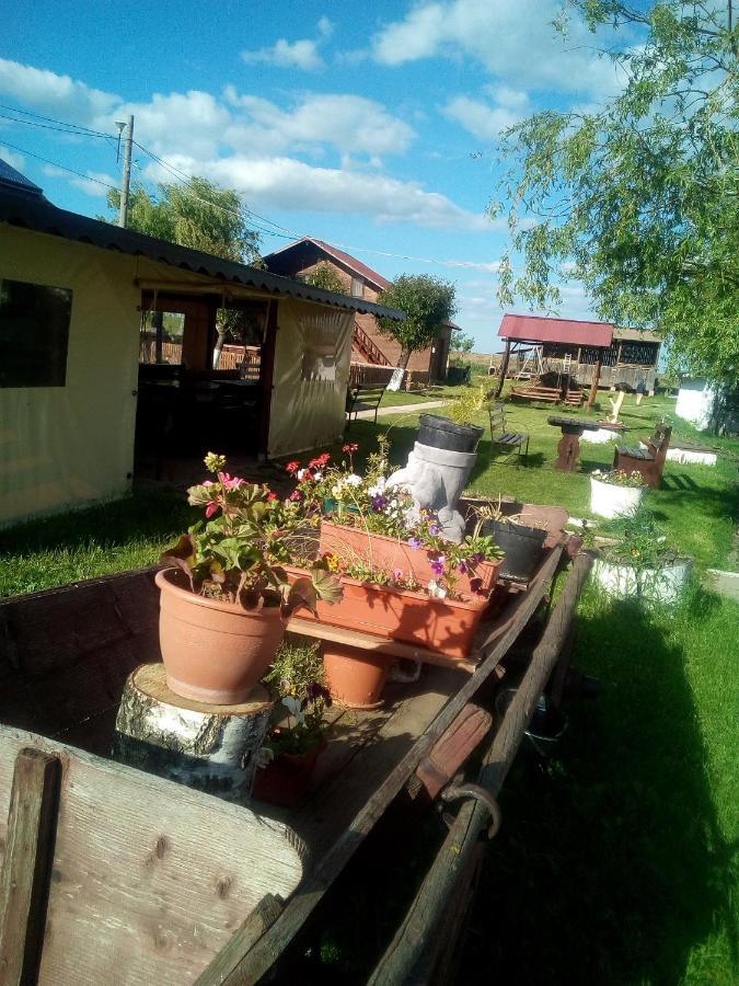 Pensiunea ,,La Struti" Targu Neamt Luaran gambar